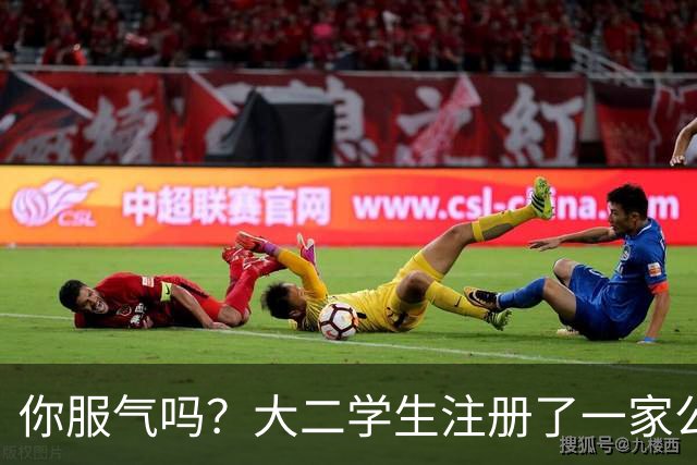你服气吗？大二学生注册了一家公司，员工名单上只有他自己，而他一年营收达到了60万